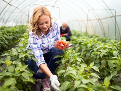 Happy farmer woman growing vegetables at farm
