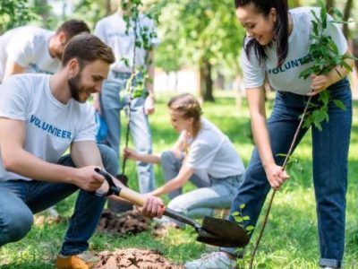 young volunteers planting trees in green park together
